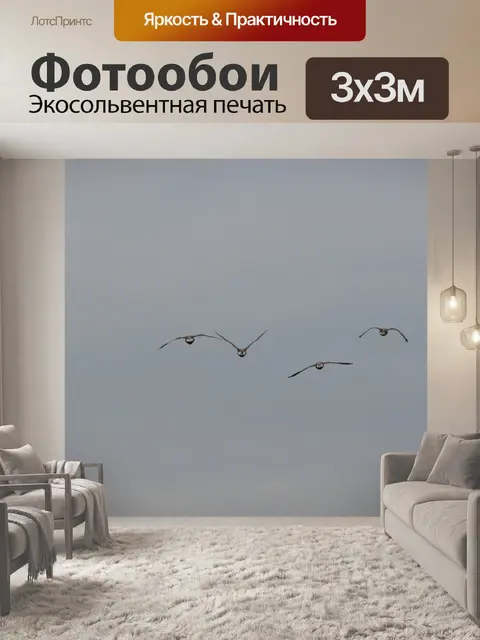 Фотообои Полет