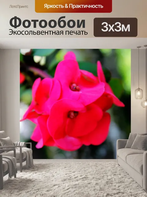 Фотообои темно-красные цветы