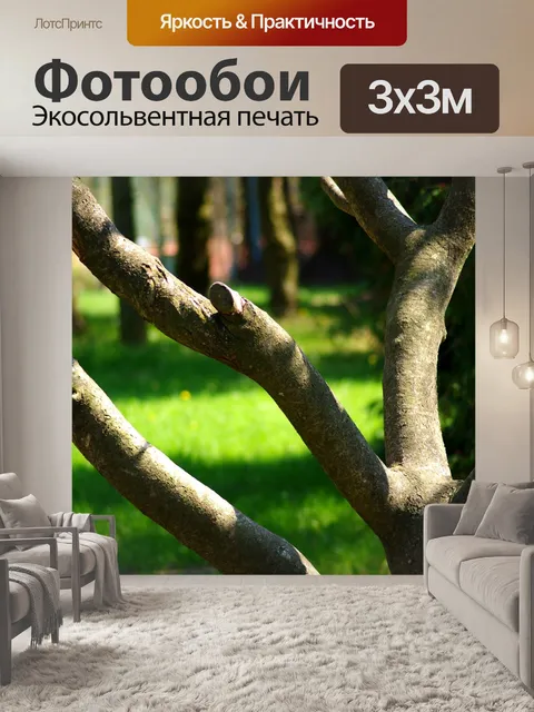 Фотообои Дерево