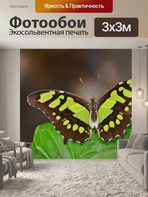 Фотообои Бабочка куклы