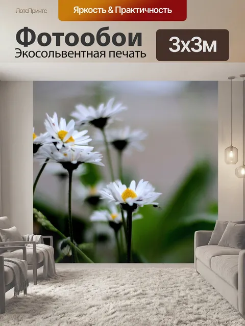 Фотообои Ромашки