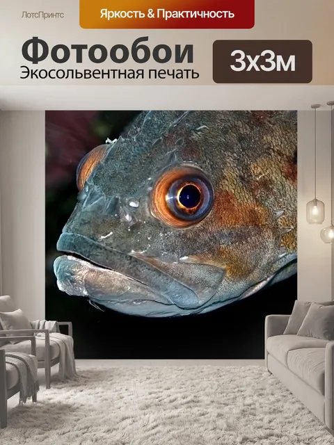 Фотообои Рыбы