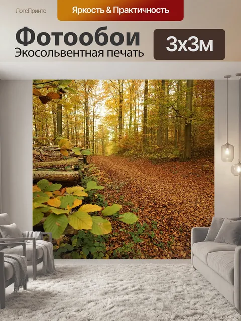 Фотообои Путь
