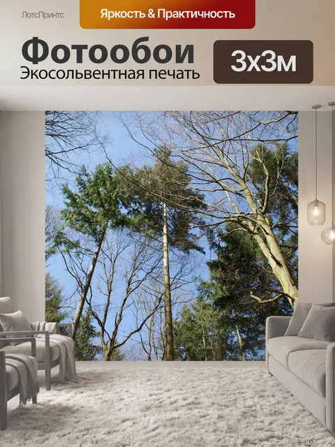 Фотообои Деревья