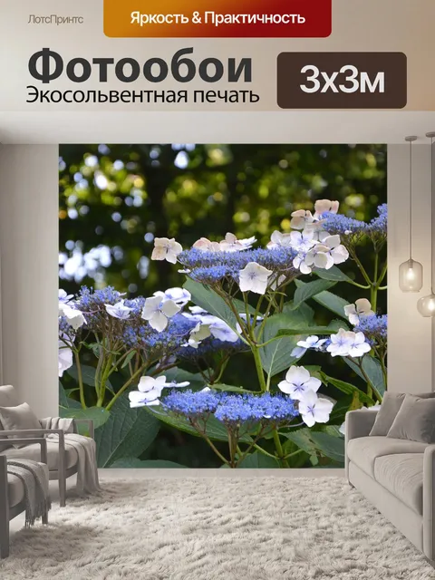 Фотообои Цветы