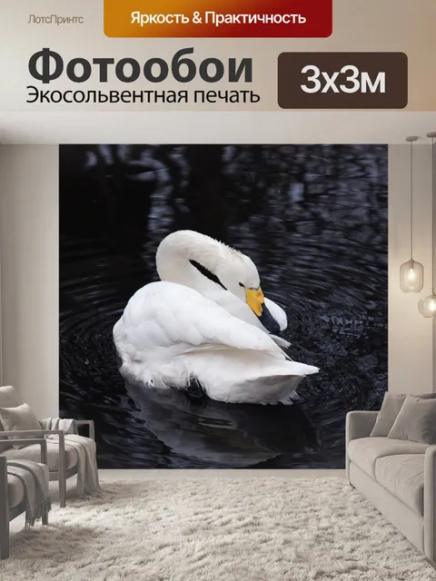 Фотообои Лебедь