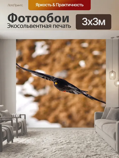 Фотообои Птица