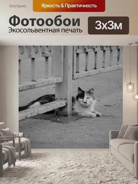 Фотообои Кошка