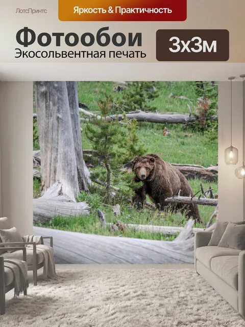 Фотообои медведь