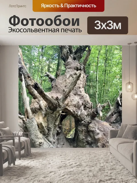Фотообои Дерево