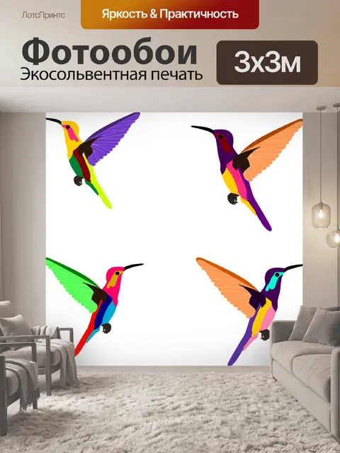 Фотообои Колибри