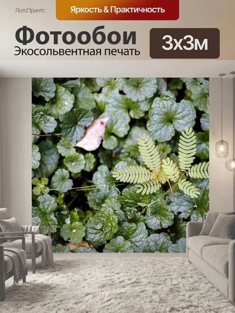 Фотообои Лист