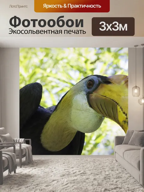Фотообои Птицы