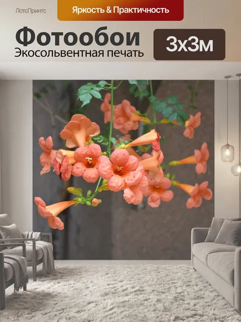 Фотообои Цветущие цветы