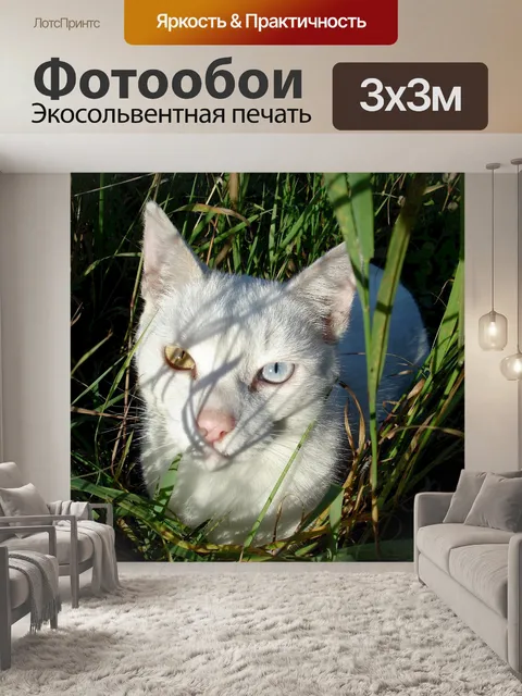 Фотообои Kitty Cat в траве