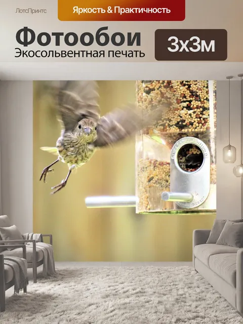 Фотообои Птица