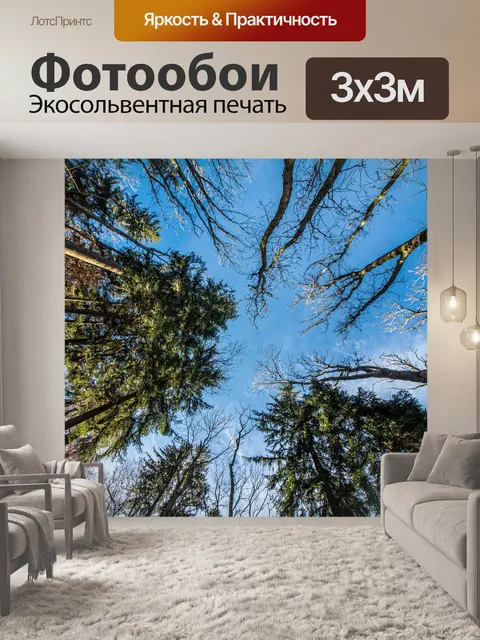 Фотообои Лес