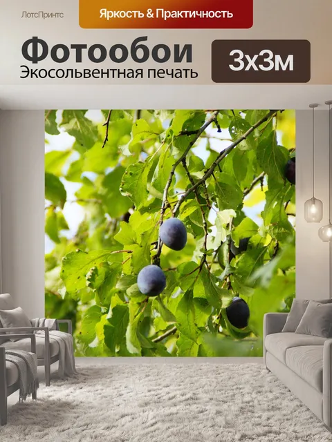 Фотообои Сливы