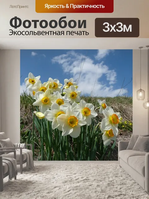 Фотообои Цветы