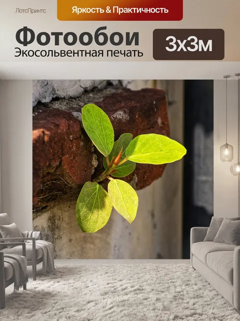 Фотообои Листья