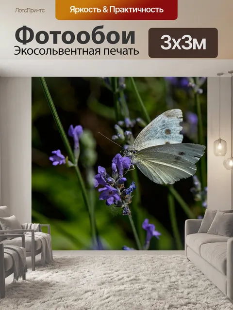 Фотообои Белый