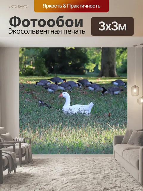 Фотообои Венсенский лес