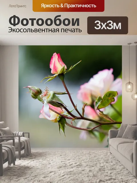 Фотообои Бутон розы