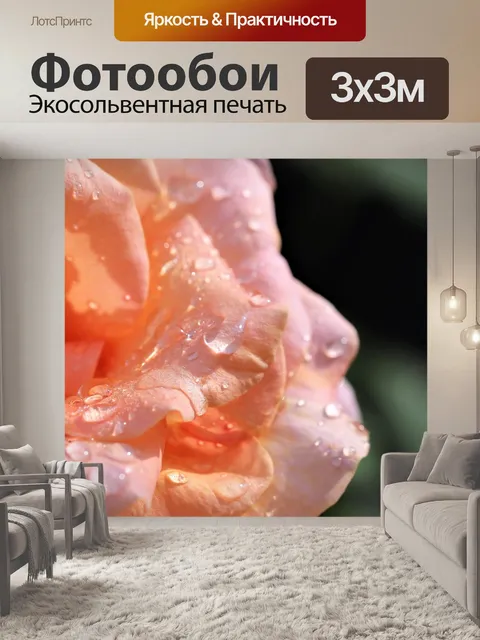 Фотообои Капли дождя на листьях розы