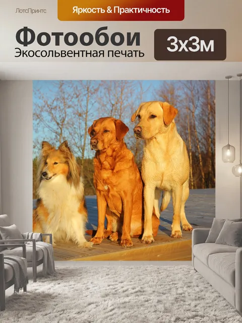 Фотообои Собаки