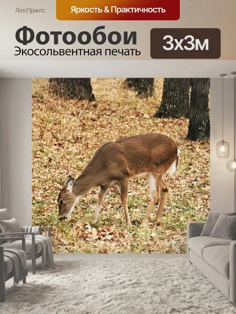 Фотообои Молодой белохвостый олень осенью