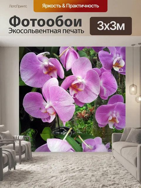 Фотообои розовый цветок орхидеи цвести