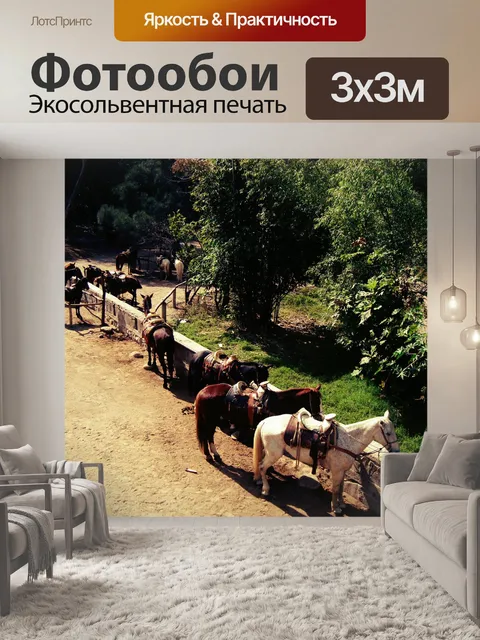 Фотообои Лошади