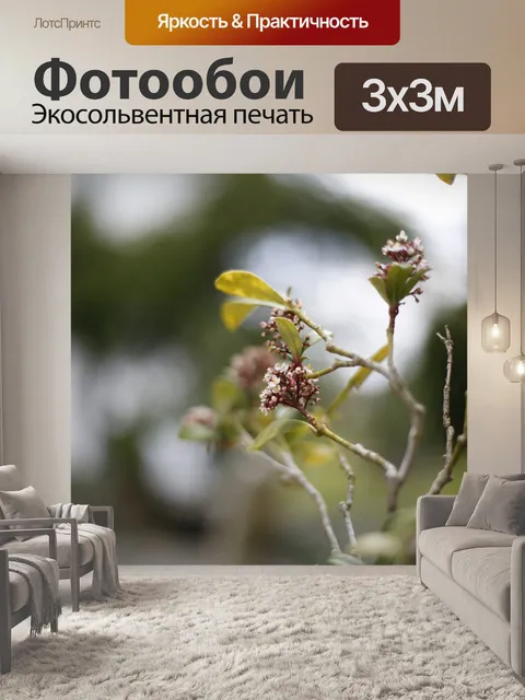 Фотообои Цветы