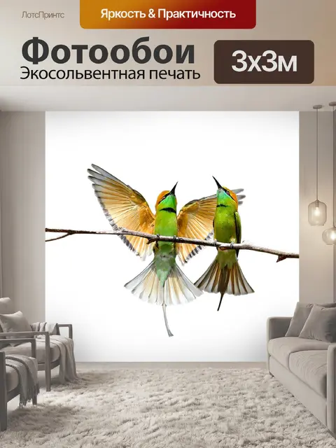 Фотообои Птицы