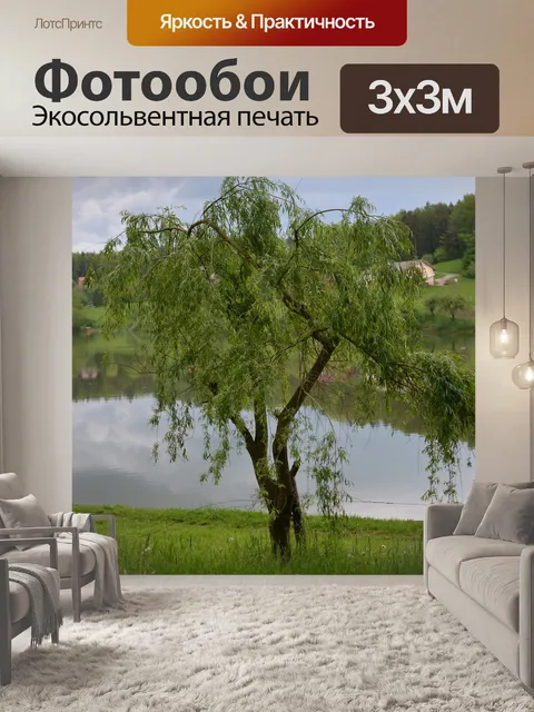 Фотообои Дерево