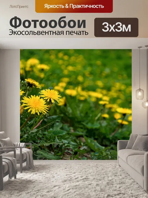 Фотообои Одуванчики