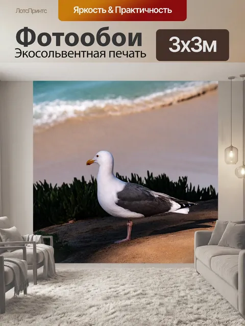 Фотообои Птица