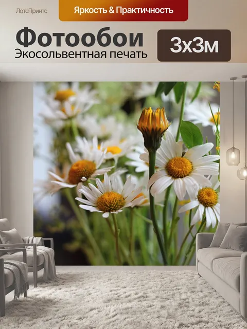Фотообои Полевые цветы