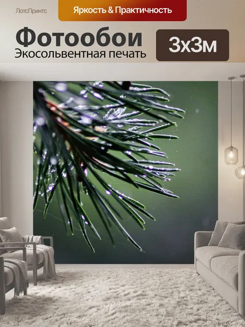 Фотообои Роса