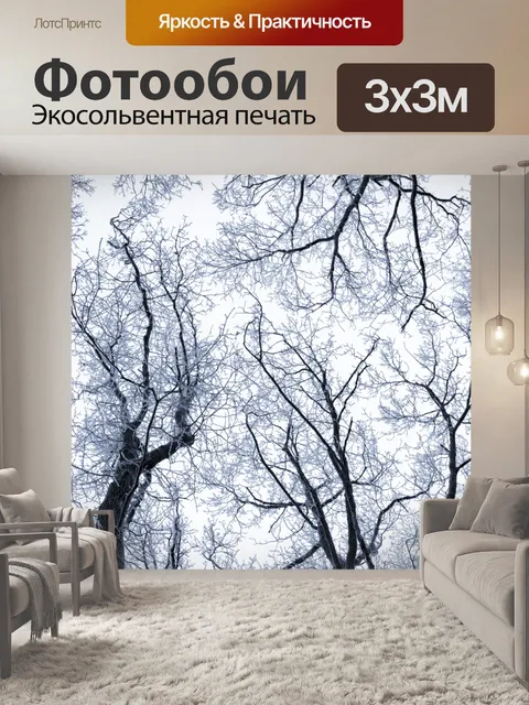 Фотообои Деревья без листьев