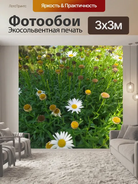 Фотообои Цветы