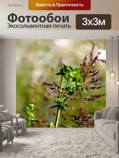 Фотообои Луг