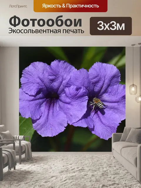 Фотообои Цветы