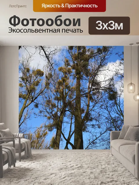 Фотообои Деревья