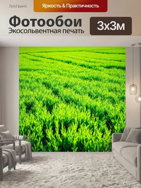 Фотообои с изображением зелёных полей и огородов для создания свежей и здоровой атмосферы