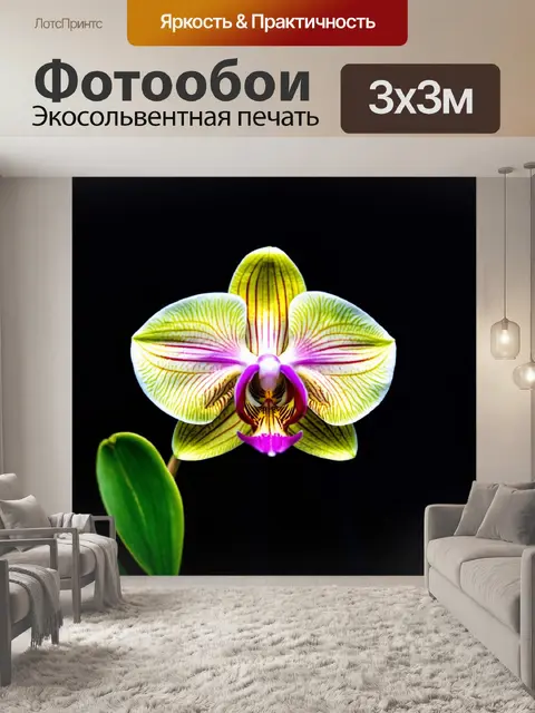 Фотообои орхидея в темном мистическом окружении с легким дымом