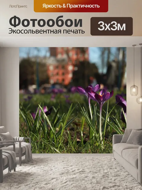 Фотообои Бреда