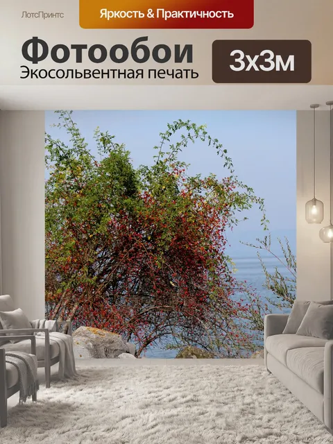 Фотообои Берег реки