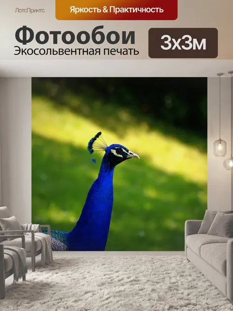 Фотообои Птица