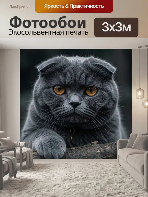 Фотообои Серый кот с янтарными глазами